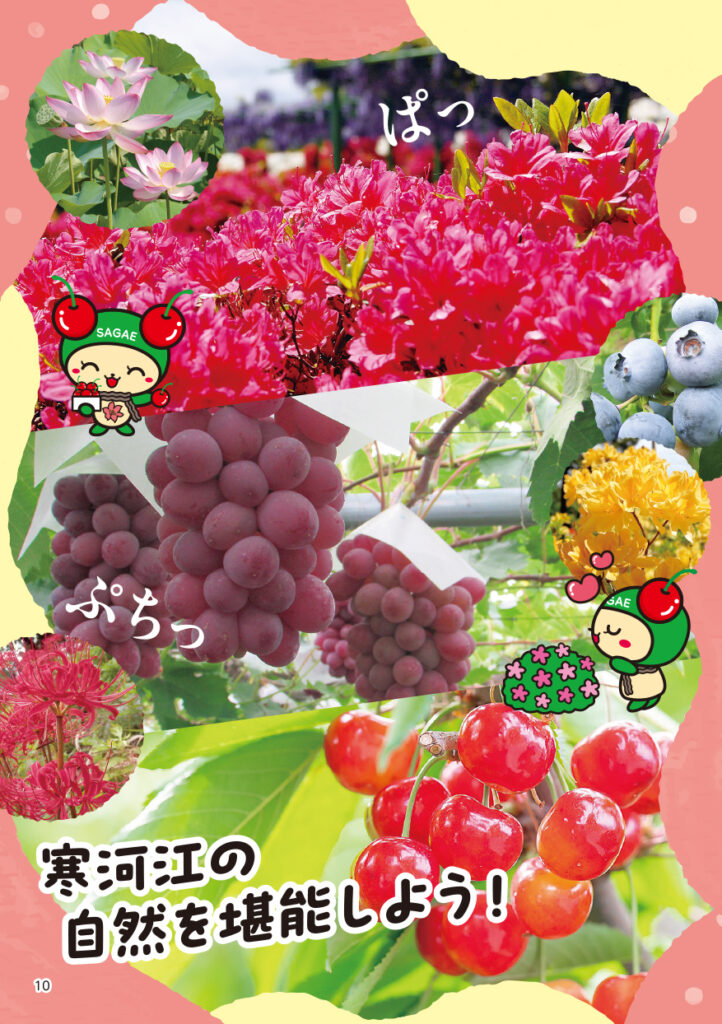 寒河江市観光パンフレット_p10