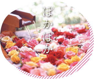 寒河江市の温泉・宿