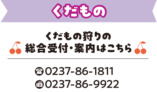 寒河江のくだもの