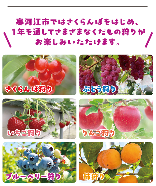 寒河江のくだもの