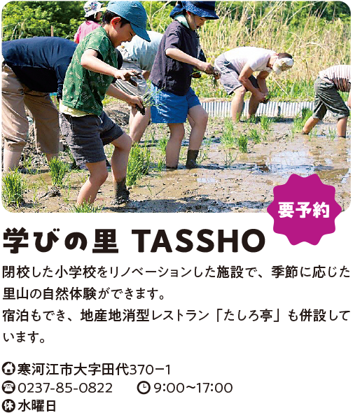 学びの里TASSHO
