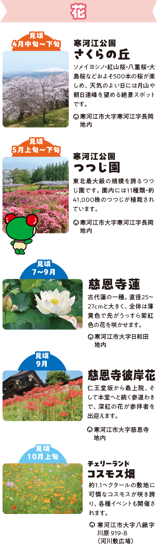 寒河江市の花